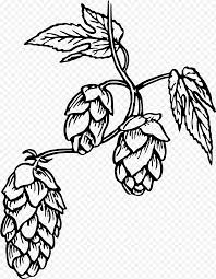 En otros casos, es posible tener la enfermedad lupus eritematoso cutáneo. Dibujo De Arbol Genealogico Cerveza Lupulo Elaboracion De Cerveza Png Klipartz
