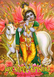 What S Hot Google Lord Krishna Hd Wallpaper Lord Krishna Wallpapers Krishna Janmashtami