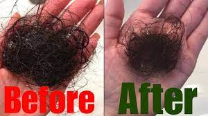 Supplements & herbs for pcos, hormones, acne, hair growth, energy. My Pcos Hair Loss Update Part 2 The Glam Belle Youtube