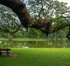 Acknowledgments landscape design principles for storm water basin. Malaysia Truly Asia On Twitter Lake Garden Taiping The First Lake Garden In Malaysia Lakegarden Taiping Perak Malaysiatrulyasia Tourismmalaysia Dekatje Https T Co Nupktqmjr2