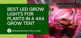 Maybe you would like to learn more about one of these? Best Led Grow Lights For Plants In A 4x4 Grow Tent