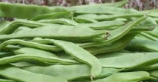 La Judia Verde Guia Metabolica