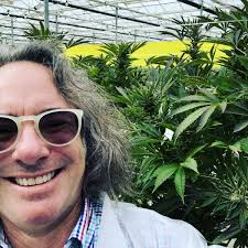 Flowers For Your Father's Day: The Top Of The House