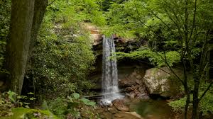 If you are more into hiking or biking, you can do so at great allegheny passage. Ohiopyle State Park Vacation Rentals Cabin Rentals More Vrbo