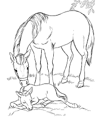 Today, we advocate print horse coloring pages for you, this post is related with club penguin coloring pages to print. Mare And Foal Horse Coloring Pages Farm Animal Coloring Pages Animal Coloring Pages
