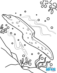 You Will Enjoy Coloring This Moray Eel And The Other Free Fish Coloring Pages Your Will Discover On Hel Coloring Pages Fish Coloring Page Animal Coloring Pages