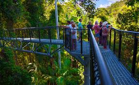 Tambourines are often used with regular percussion sets. Daytripper S Guide To Tamborine Mountain Hello Gold Coast