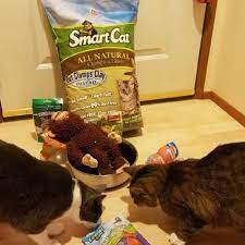Sw portland's favorite pet store. Portland Pet Supply 11 Photos 81 Reviews Pet Stores 4242 Se Hawthorne Blvd Portland Or Phone Number