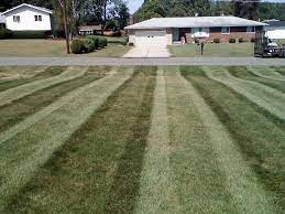 Lawn services, tree services, pressure washers. Residential Lawn Mowing Greenwise Grounds Care