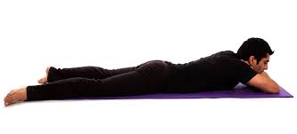 Yoga Poses Crocodile Pose Makarasana Workout Trends Fitness Trends Yoga Poses Yoga