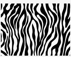 Zebra colouring pages to print. Zebra Print Transparent Images Zebra Print Coloring Pages Transparent Png 1024x768 Free Download On Nicepng