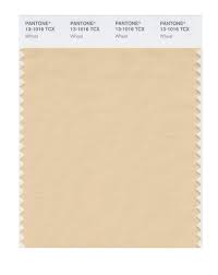 robot check pantone color swatch swatches colors in illustrator
