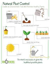 On target pest control asub kohas saint george. Tackling Garden Pests Naturally The Ultimate Guide Updated Six Brothers Pest Control