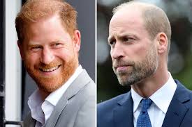 Prince William's Caring Gesture To Harry Goes Viral