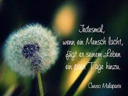 Coole Spruche Kluge Und Witzige