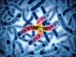 Prader Willi Syndrome Symptoms Warning Signs And Causes
