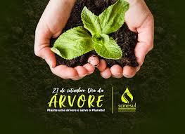 Dia da arvore conscientizar as crianças sobre a importância da árvore para o planeta. Sanesul Comemora Dia Da Arvore Com Doacao De 10 Mil Mudas De Especies Nativas A Critica De Campo Grande Mobile