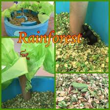 This Is The Rainforest Sensory Bin For Our Unit On Biomes The Base Is Dyed Oatmeal The Trees Are P Rainforest Activities Rainforest Theme Jungle Activities
