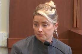 Amber Heard culpó a mascota de Johnny Depp de defecar en la cama