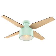 Hunter fan ceiling fans : Hunter Cranbrook 52 In Mint Green Indoor Flush Mount Ceiling Fan With Light Kit And Remote 4 Blade Ceiling Fan With Light Modern Ceiling Fan Ceiling Fan