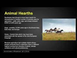 Learn vocabulary, terms and more with flashcards, games and other study tools. Ap Human Geography Agriculture Lessons Blendspace