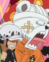 I Love Law S Face One Piece Fanart Anime Shows Good Anime To Watch Our database contains over 16 million of free png images. one piece fanart anime shows