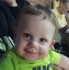 Is the Grill Rescue steam cleaning brush good for Members Mark pro series  grills?