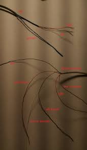 Apple Headphone Wiring Diagram from i.imgur.com