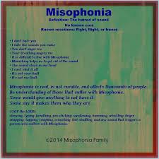Pin By Farhana Sajjad On Health Misophonia Noise Sensitivity Snoring