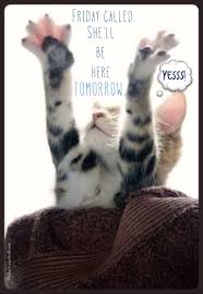 Thursday Humor Cat Funny Cute Almost Friday Can T Wait For The Weekend One More Day Good Morning Funny Morning Quotes Funny Thursday Humor