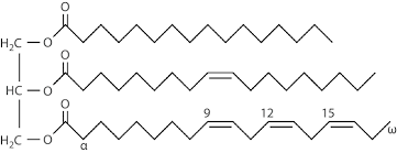 Image result for Fatty Acid