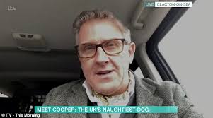 Britain's naughtiest dog is diagnosed as an 'attention seeker' by canine  expert