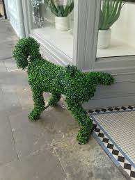 Seen Outside A Shop Doorway In York North Yorkshire Funny Garden Art Topiary Garden Topiary