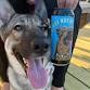 Barktoberfest