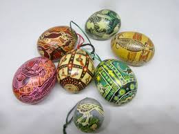 Pin On The Hungry Whippet