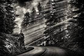Beautiful black and white nature photos. Amazon Com Fine Art Black And White Photography Landscape Photography Black And White Mountain Road Monochromatic Nature Pine Tree Mount Rainier National Park Sun Beams Clouds Rocks Pacific Northwest Handmade