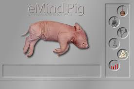 Emind Pig Demo