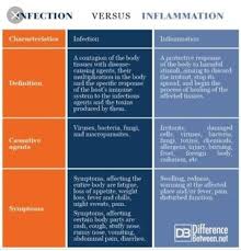 A Chart About Infectious Bacteria And The Disease Caused Bye