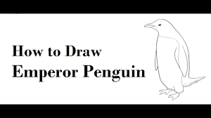 Video standard printable step by step. How To Draw Emperor Penguin Pencil Drawing Step By Step Youtube