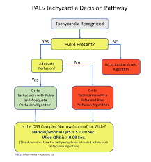 The provider must assess the patient while supporting the airway and breathing, administering oxygen (box 2), obtaining an ecg to identify the rhythm, and. Pals Tachycardia Algorithm Learn Master Pals