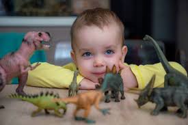 40+ T Rex Real Stock Photos, Pictures & Royalty-Free Images