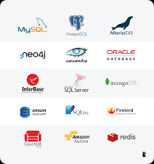 Databases in Web Application Development | Ramotion Agency