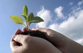 Результат пошуку зображень за запитом картинки з днем землевпорядника