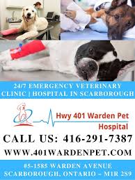 24 7 Emergency Veterinary Clinic Hospital In Scarborough Veterinary Clinic Pet Clinic Animal Hospital