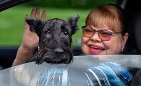 Tustin business woman's passion for pups helps drive away coronavirus blues 