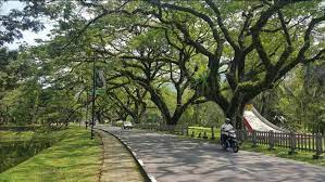 Terdapat beberapa tempat menarik di taiping yang dikatakan tempat lagenda yang tertua di negara kita. Taiping Lake Gardens Tempat Menarik Di Perak Taiping Lake Garden Pangkor Island