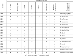 Some Biochemical Tests And Conventional Identification Of