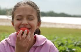 10 Pick-Your-Own Farms for the Family to Enjoy