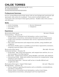 Airline Ticket Agent Resume United Airlines And Travelling