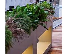 Artificial plants arrangements glass vase artificial flowers australia.artificial plants indoor palm trees artificial flowers australia.artificial plants living room floors. Artificial Plants Fake Plants Evergreen Direct